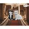 Ceramic King and Queen of Cats Salt and Pepper Shakers, Home Decor for Kitchen
